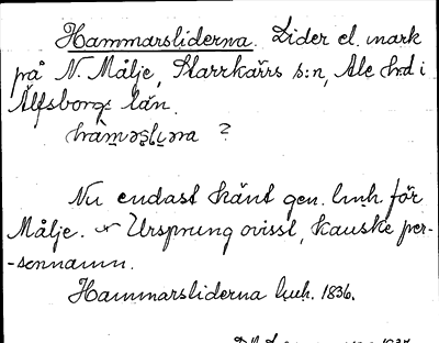 Bild på arkivkortet för arkivposten Hammarsliderna