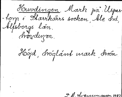 Bild på arkivkortet för arkivposten Huvdingen