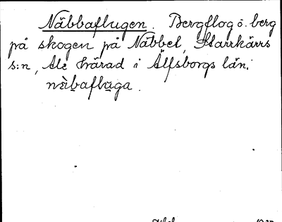 Bild på arkivkortet för arkivposten Näbbaflugen