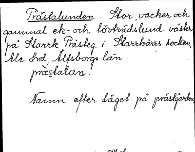 Bild på arkivkortet för arkivposten Prästalunden
