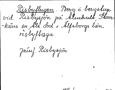 Bild på arkivkortet för arkivposten Risbyflugen