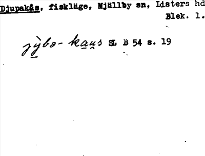 Bild på arkivkortet för arkivposten Djupakås