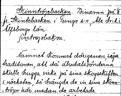 Bild på arkivkortet för arkivposten Skinntröjebacken
