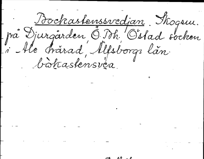 Bild på arkivkortet för arkivposten Bockstenssvedjan
