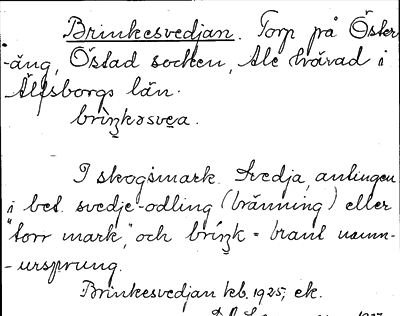 Bild på arkivkortet för arkivposten Brinkesvedjan