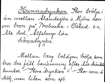 Bild på arkivkortet för arkivposten Hunnadrynkan
