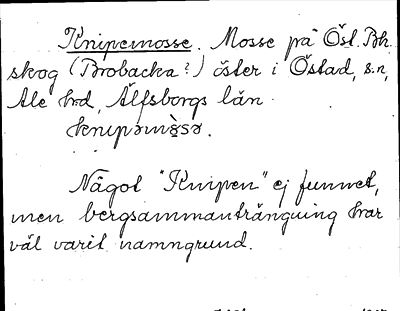 Bild på arkivkortet för arkivposten Knipemosse