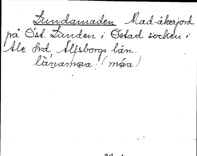 Bild på arkivkortet för arkivposten Lundamaden