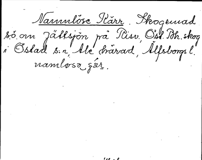 Bild på arkivkortet för arkivposten Namnlöse Kärr