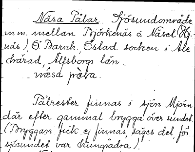 Bild på arkivkortet för arkivposten Näsa Pålar