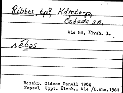 Bild på arkivkortet för arkivposten Ribbes