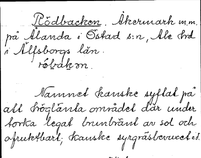 Bild på arkivkortet för arkivposten Rödbacken