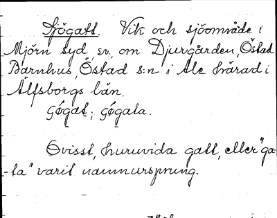 Bild på arkivkortet för arkivposten Sjögatt