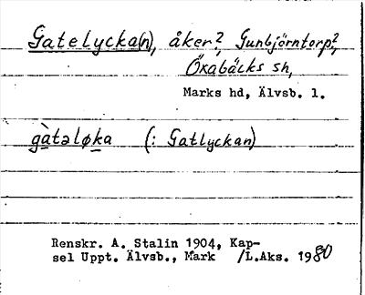 Bild på arkivkortet för arkivposten Gatelycka(n)