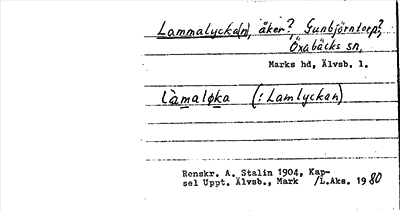 Bild på arkivkortet för arkivposten Lammalycka(n)