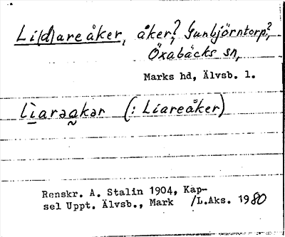 Bild på arkivkortet för arkivposten Li(d)areåker