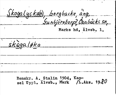Bild på arkivkortet för arkivposten Skogalycka(n)
