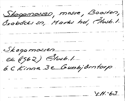Bild på arkivkortet för arkivposten Skogamossen
