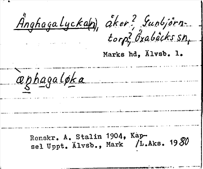 Bild på arkivkortet för arkivposten Änghagalycka(n)