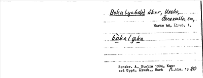 Bild på arkivkortet för arkivposten Bokalycka(n)