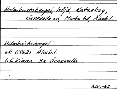 Bild på arkivkortet för arkivposten Holmkvistsberget