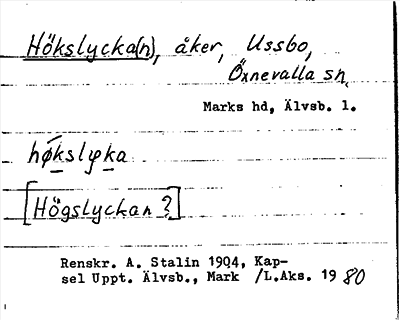 Bild på arkivkortet för arkivposten Hökslycka(n)