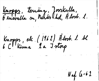 Bild på arkivkortet för arkivposten Knopps