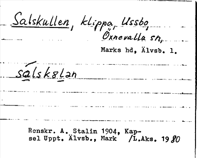 Bild på arkivkortet för arkivposten Salskullen