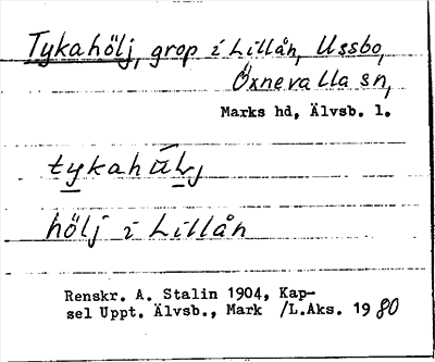 Bild på arkivkortet för arkivposten Tykahölj