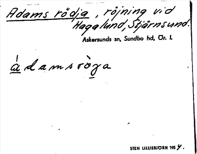 Bild på arkivkortet för arkivposten Adams rödja