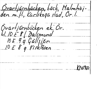 Bild på arkivkortet för arkivposten Övartjärnbäcken