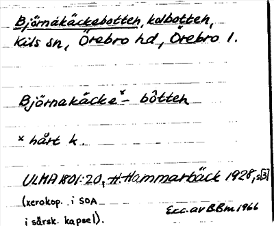 Bild på arkivkortet för arkivposten Björnakäckebotten