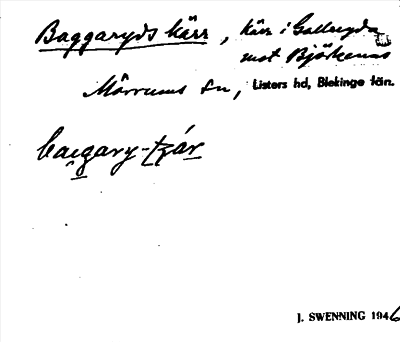 Bild på arkivkortet för arkivposten Baggaryds kärr