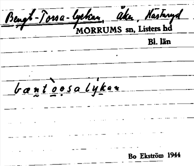 Bild på arkivkortet för arkivposten Bengt-Torsa-lyckan