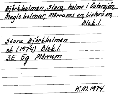 Bild på arkivkortet för arkivposten Björkholmen, Stora