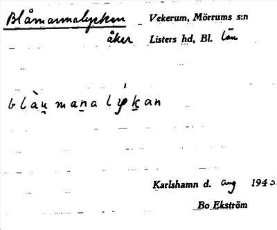 Bild på arkivkortet för arkivposten Blåmannalyckan