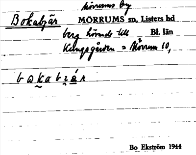 Bild på arkivkortet för arkivposten Bokabjär