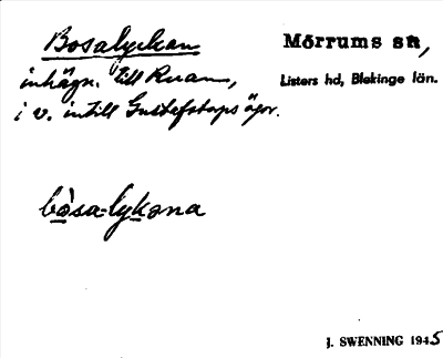 Bild på arkivkortet för arkivposten Bosalyckan