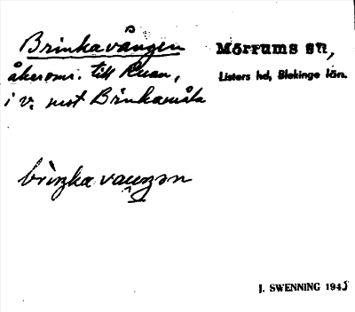 Bild på arkivkortet för arkivposten Brinkavången