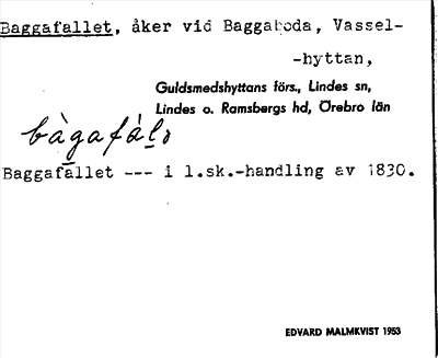 Bild på arkivkortet för arkivposten Baggafallet