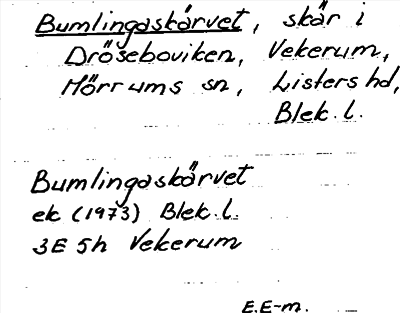 Bild på arkivkortet för arkivposten Bumlingaskärvet