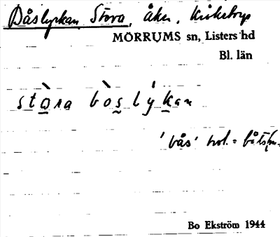 Bild på arkivkortet för arkivposten Båslyckan, Stora