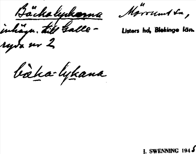 Bild på arkivkortet för arkivposten Bäckalyckorna