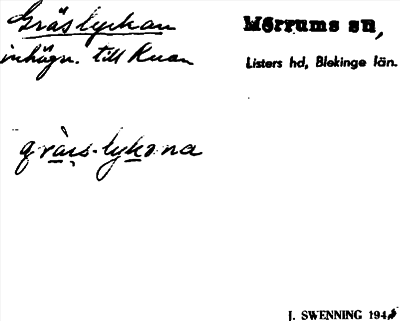 Bild på arkivkortet för arkivposten Gräslyckan