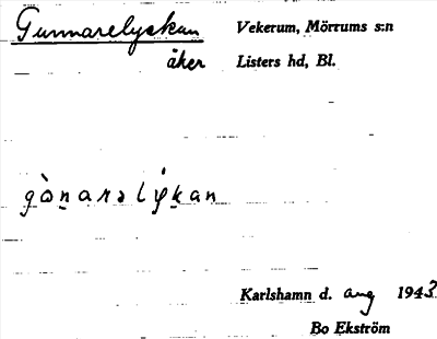 Bild på arkivkortet för arkivposten Gunnarelyckan