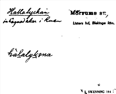 Bild på arkivkortet för arkivposten Hallalyckan