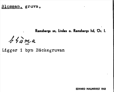Bild på arkivkortet för arkivposten Blomman