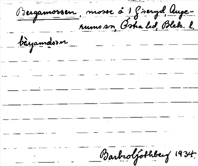Bild på arkivkortet för arkivposten Bergamossen