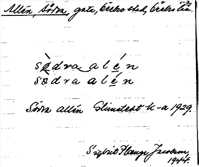 Bild på arkivkortet för arkivposten Allén, Södra