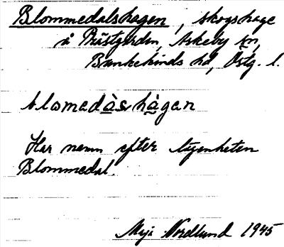 Bild på arkivkortet för arkivposten Blommedalshagen